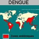 Dengue : douleurs articulaires et musculaires, fatigue, mal de tête
