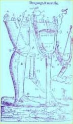 arthrosis historia renacimiento