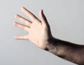Fingers: predisposition to osteoarthritis?