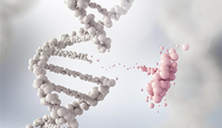 genetic and environmental factors for osteoarthritis